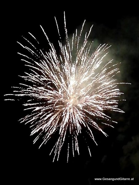 Silvesterfeier Silvesteressen Silvester Silvesterempfang Silvestermenü Sängerin Fest Feier Musik Musikerin Vorarlberg Bodensee Bodenseeregion Schweiz Walensee