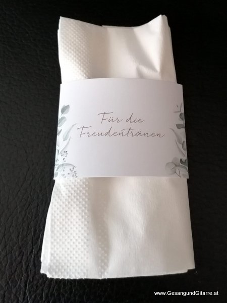 Trauung Standesamt Bregenz Rathaus Musik Solomusikerin Sängerin Hochzeitssängerin Hochzeit Trauung Vorarlberg Kirche www.gesangundgitarre.at Gesang Gitarre Yvonne Brugger