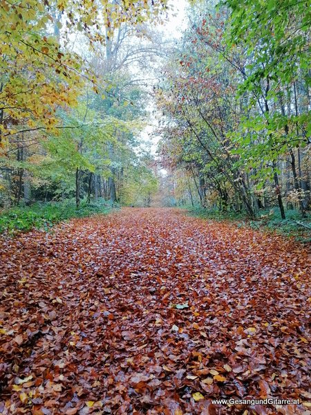 Friedwald Heiligenberg Baden Württemberg Trauerfeier Beerdigung Verabschiedung Vorarlberg Musik Kirche Trauersängerin Sängerin mit Gitarre www.trauer-musik.at www.gesangundgitarre.at Gesang Gitarre Yvonne Brugger Trauersängerin Kirchensängerin