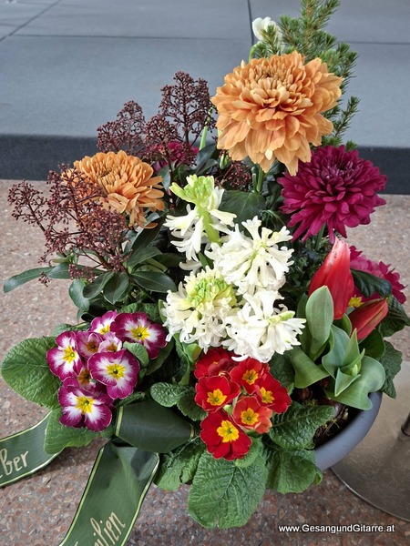 Kirche St. Sebastian Hard Vorarlberg Verabschiedung Trauerfeier Beerdigung Verabschiedung Totenwache Musik Kirche Solomusikerin Sängerin mit Gitarre www.trauer-musik.at www.gesangundgitarre.at Gesang Gitarre Yvonne Brugger Trauersängerin Kirchensängerin Kirche Trauerfeier Beerdigung Verabschiedung Vorarlberg Musik Kirche Sängerin mit Gitarre www.trauer-musik.at www.gesangundgitarre.at Gesang Gitarre Yvonne Brugger Trauersängerin Kirchensängerin