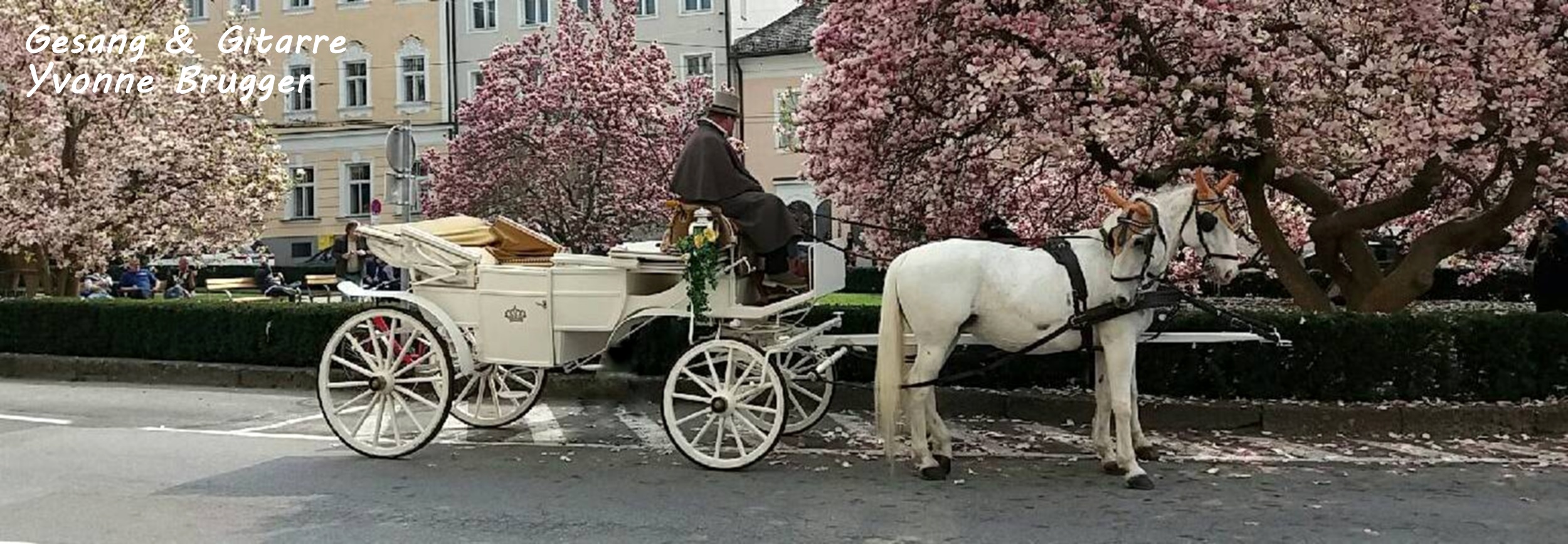 Hochzeitssängerin Vorarlberg Hochzeit Musik Sängerin Hochzeit Feier Taufe Gesang und Gitarre