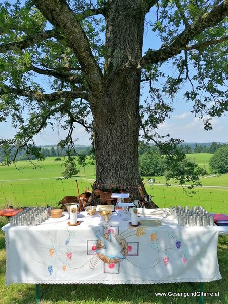 Sängerin Hochzeitssängerin Freie Trauung Trauungsmusik Hochzeitsmusik Hohenweiler Vorarlberg Bodensee Bodenseeregion
