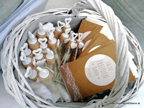 Sängerin Hochzeitssängerin Freie Trauung Trauungsmusik Hochzeitsmusik Hohenweiler Vorarlberg Bodensee Bodenseeregion