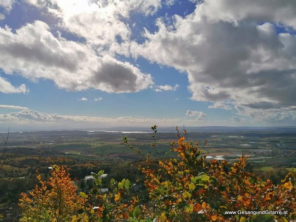 Sängerin Gitarre Friedwald Heiligenberg Bodensee Bodenseeregion Musikerin Trauerfeier Verabschiedung Frei Natur Wald 