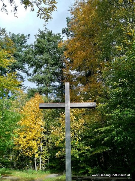 Sängerin Gitarre Friedwald Heiligenberg Bodensee Bodenseeregion Musikerin Trauerfeier Verabschiedung Frei Natur Wald 