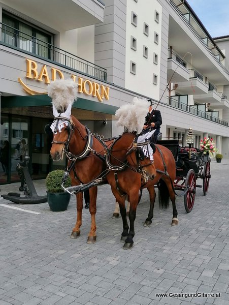 Sängerin Hochzeitssängerin Freie Trauung Schweiz Ostschweiz Trauungsmusik Hochzeitsmusik Schweizerische Schiffahrt Bodensee Bodenseeregion Hochzeit am Schiff Romanshorn Bad Horn Rorschach