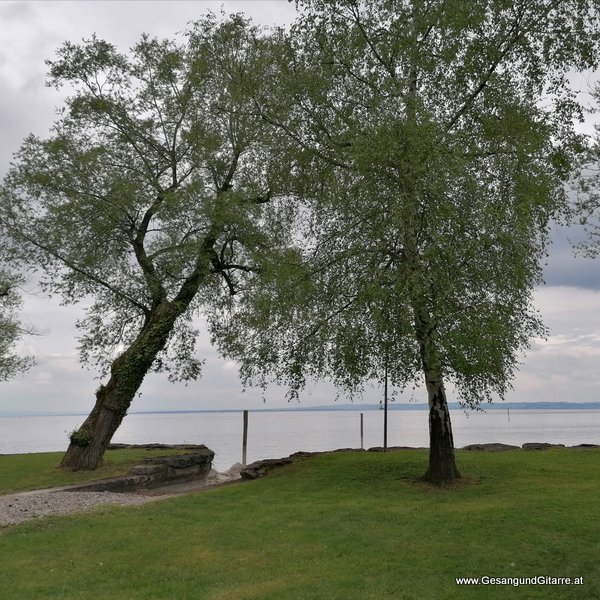 Sängerin mit Gitarre Namenssegnung Segnung Musik Taufmusik Bodensee Musikerin Gitarre Gesang Taufsängerin Bodensee Altenrhein Schweiz Vorarlberg