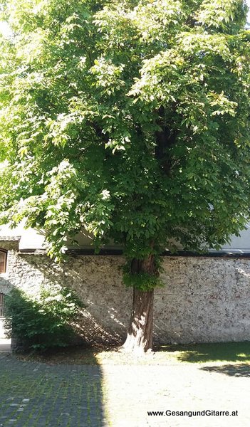 Sängerin Taufe Musik Untermalung Begleitung Kirche Vorarlberg