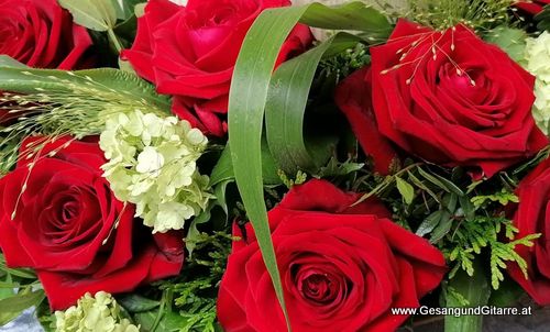 Musik am Grab Sängerin Vorarlberg Lustenau Friedhof Verabschiedung Beisetzung Trauerfeier