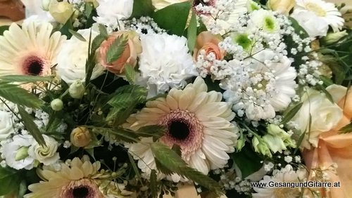 Sängerin Trauerfeier Beerdigung Vorarlberg Bregenz Trauersängerin Kirche