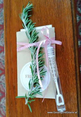 Musik Hochzeitssängerin Sängerin Kirche Vorarlberg Hochzeit Trauung Höchst Vorarlberg Bodensee
